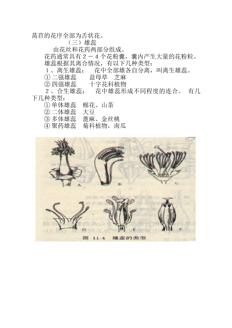 植物学03电子书下载-样章doc_第3页