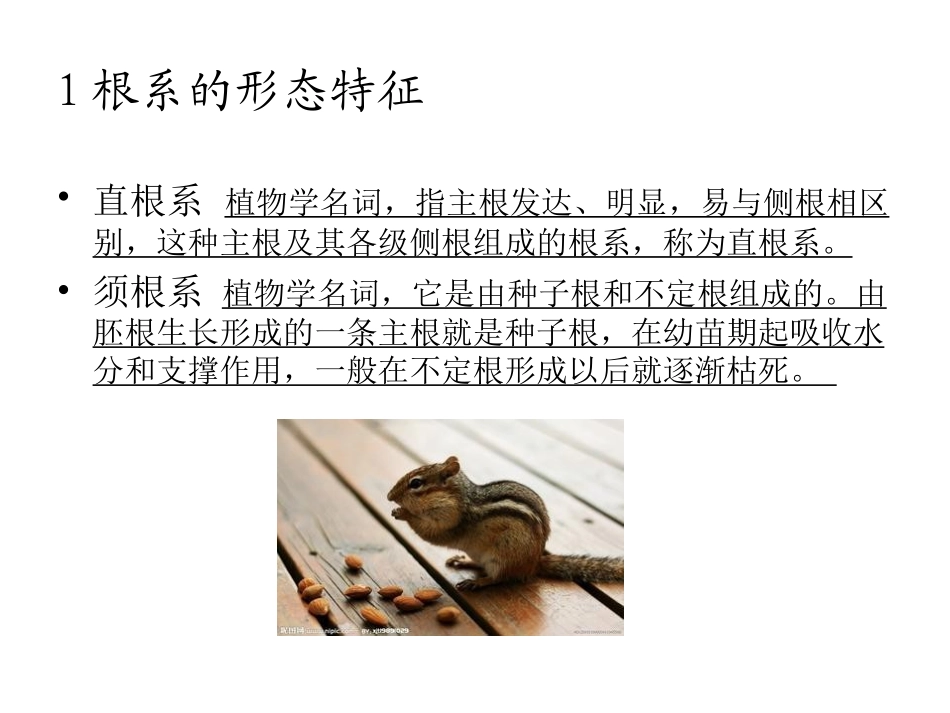 植物学PPT植物学形态术语基础知识_第3页