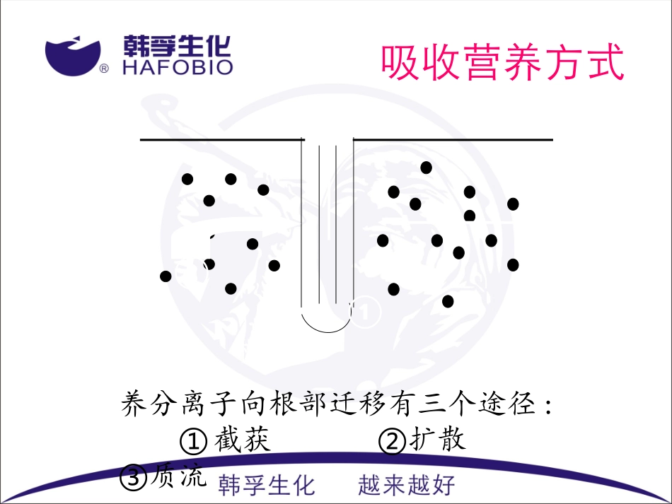 植物吸收营养因素_第3页