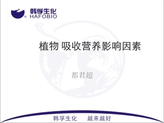 植物吸收营养因素