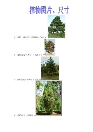 植物图片、尺寸