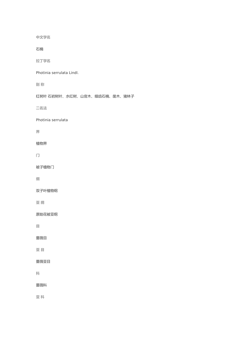 植物叶脉制取方法_第3页