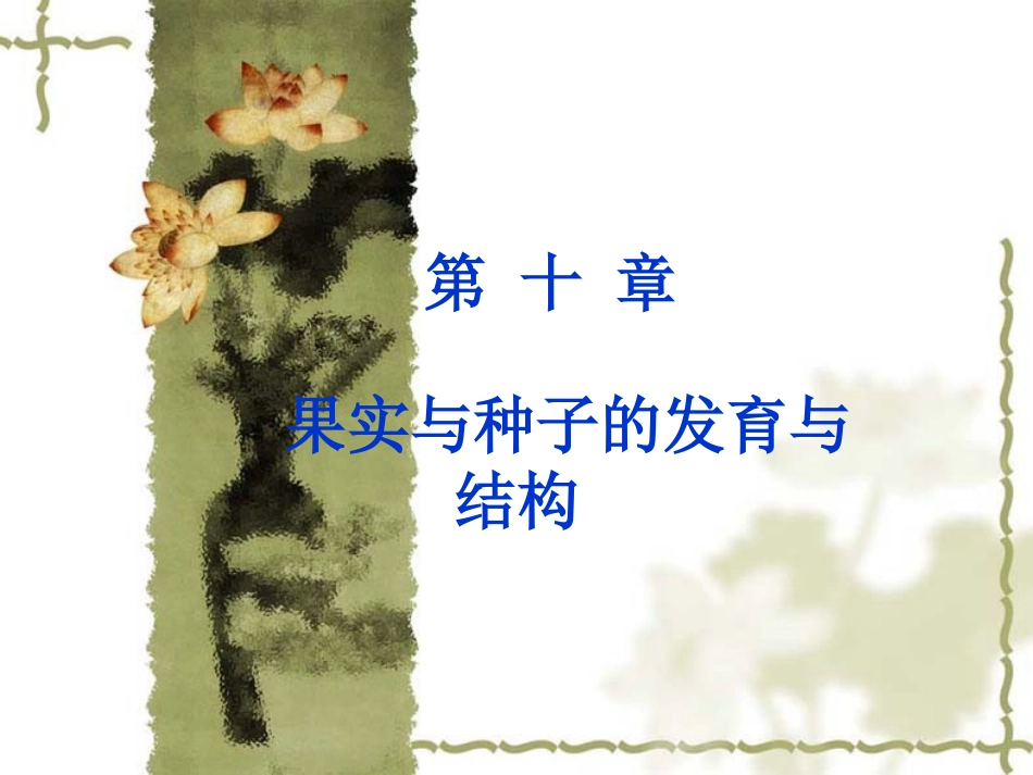 植物学--果实与种子的发育与结构_第1页