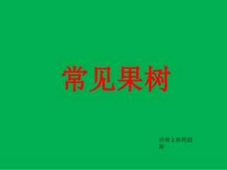 植物分类学课件,常见果树