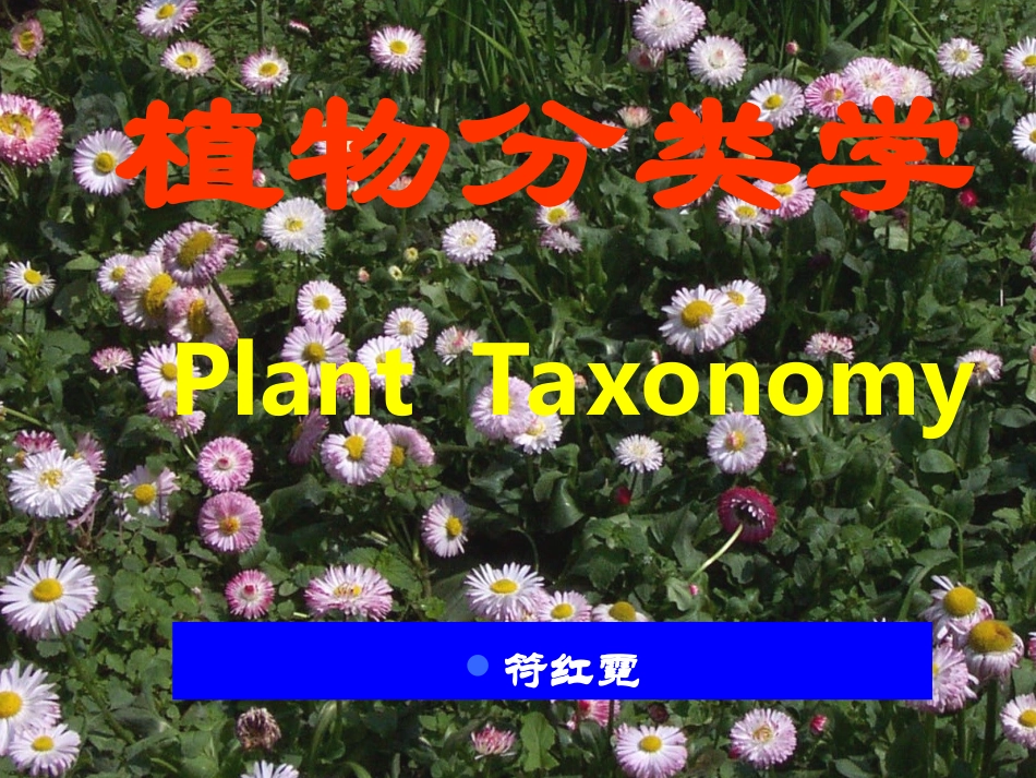 植物分类基础_第1页
