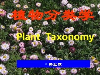 植物分类基础