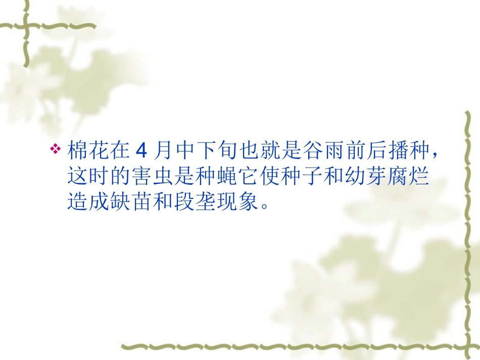 棉花的生长周期和虫情发生特点_第3页