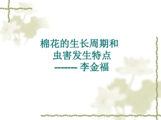 棉花的生长周期和虫情发生特点