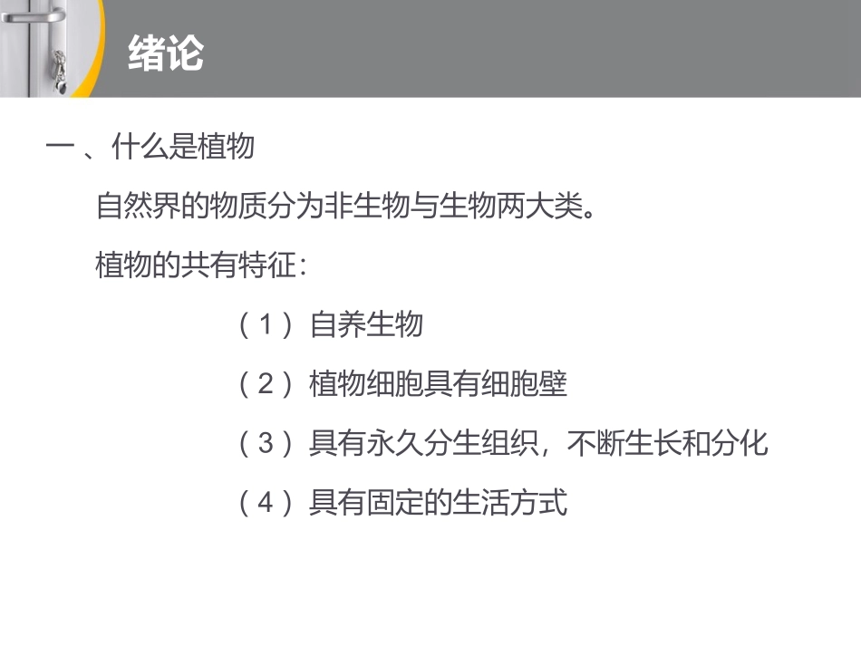 植物与植物生理学_第3页