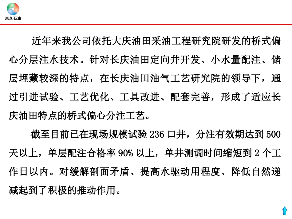 桥式偏心分层注水工艺技术汇报_第3页