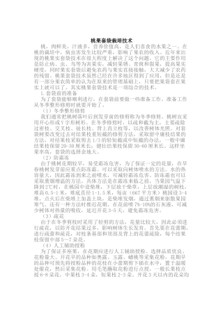 桃果套袋栽培技术