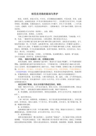 桂花在河南的栽培与养护