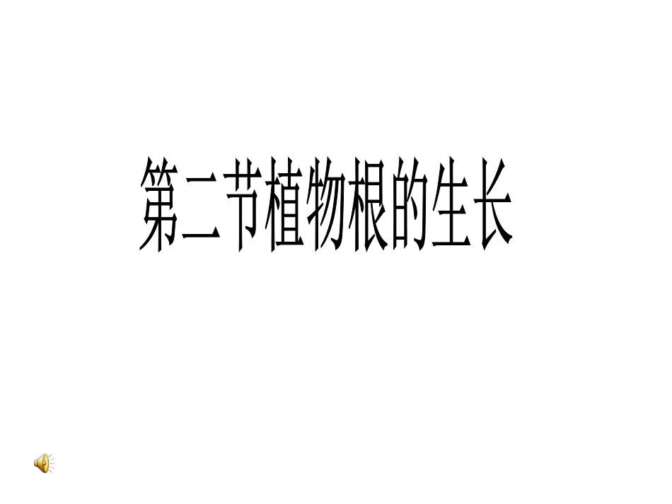 根的结构新2009改试上_第1页