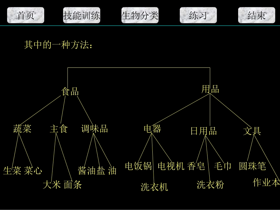 根据生物的特征分类_第3页