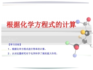 根据化学方程式的