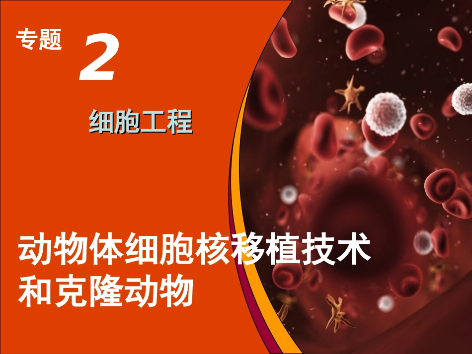 核移植技术(用)_第2页