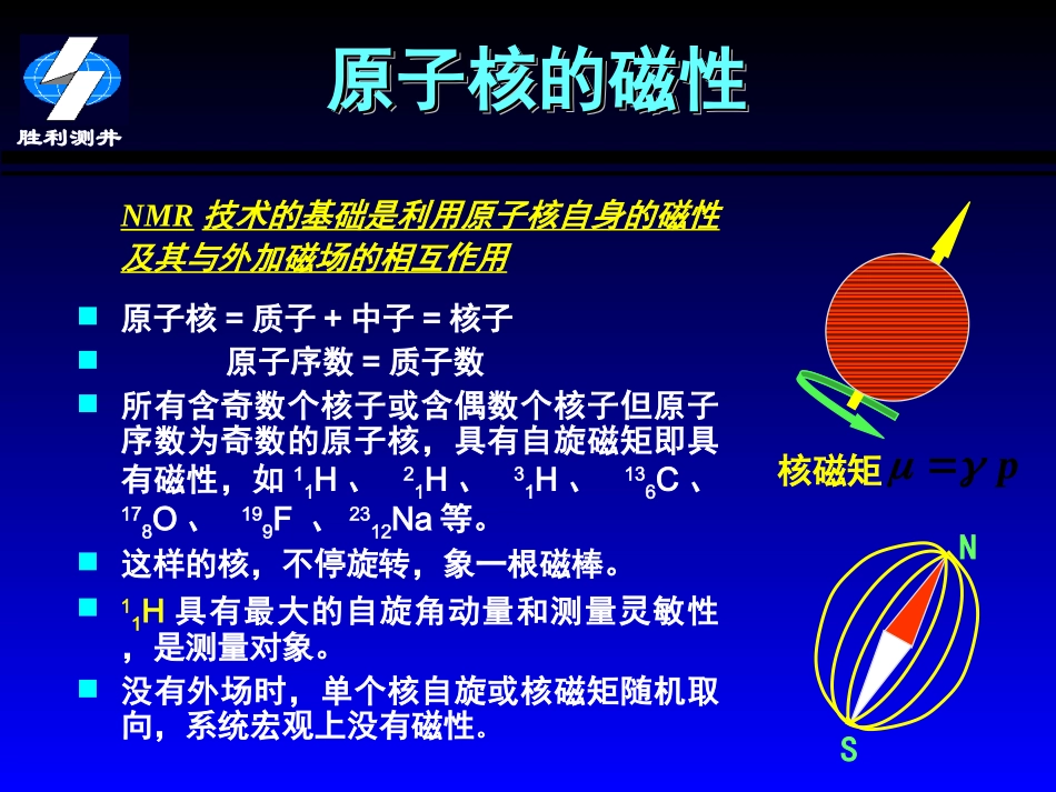 核磁共振技术摘要_第1页