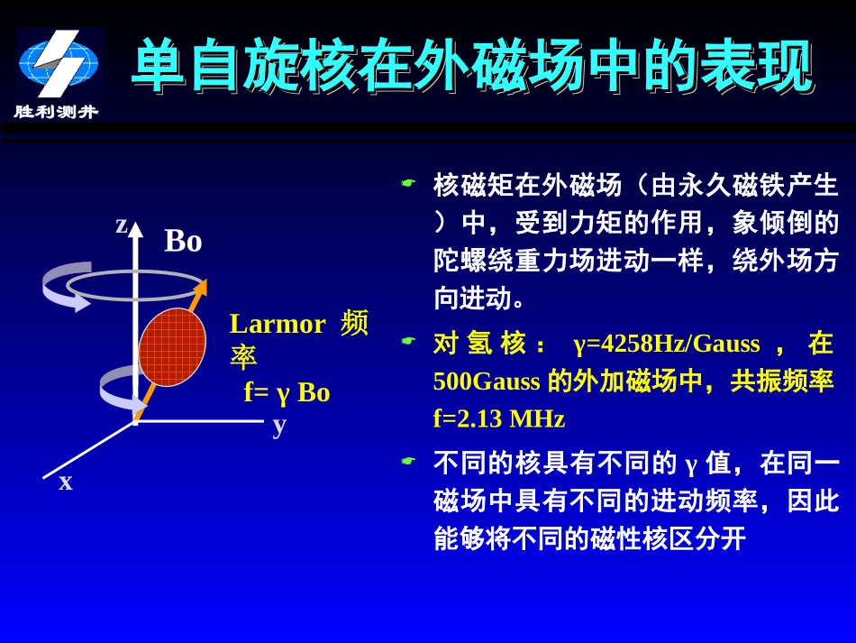 核磁共振技术摘要_第2页