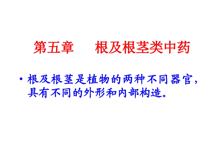 根及根茎类概述_第1页