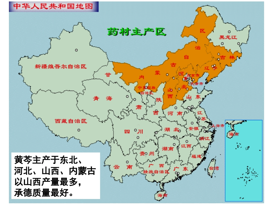 根和根茎类-2_第2页