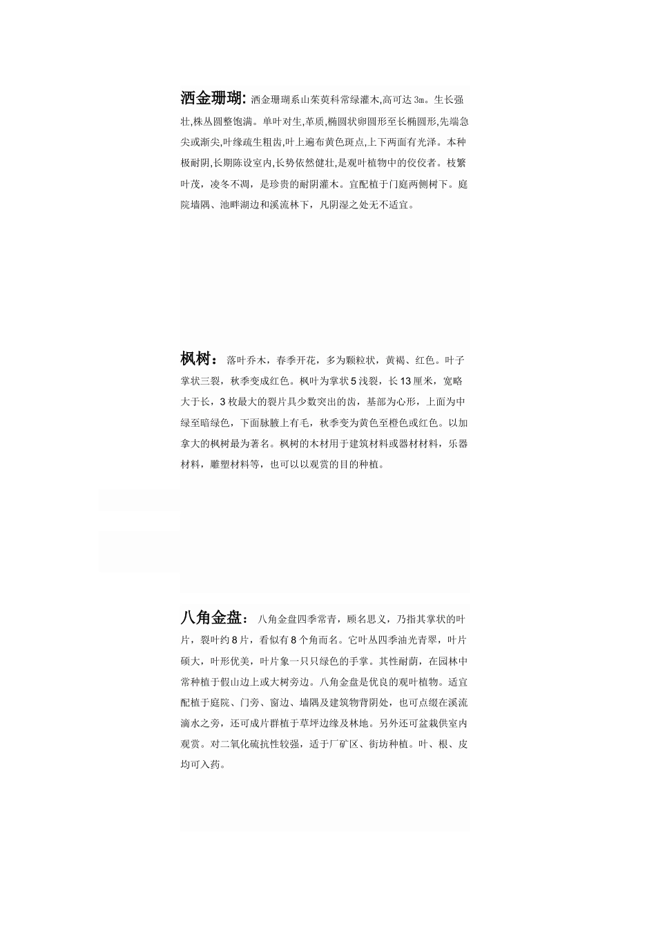 校园20种植物_第1页