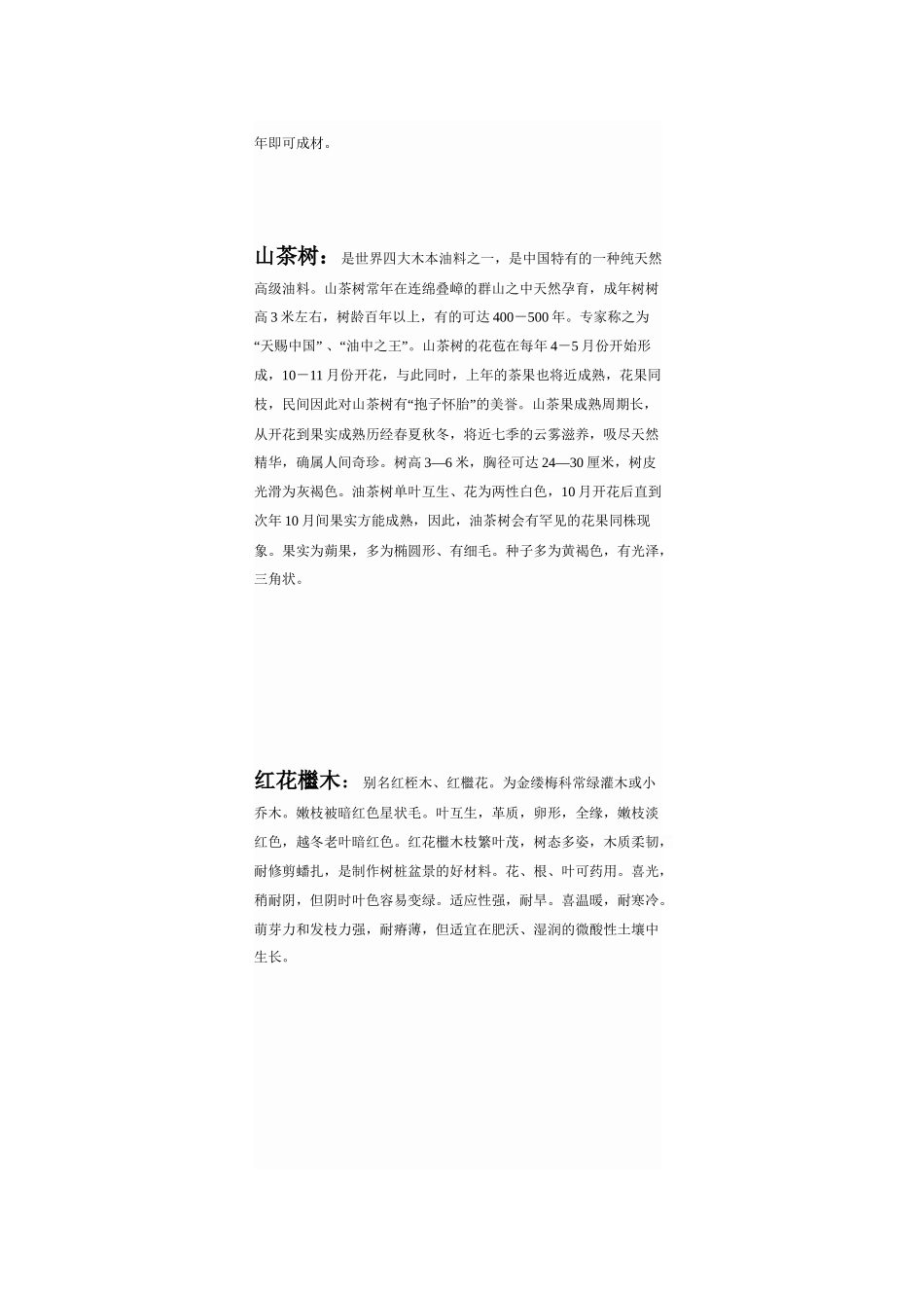 校园20种植物_第3页