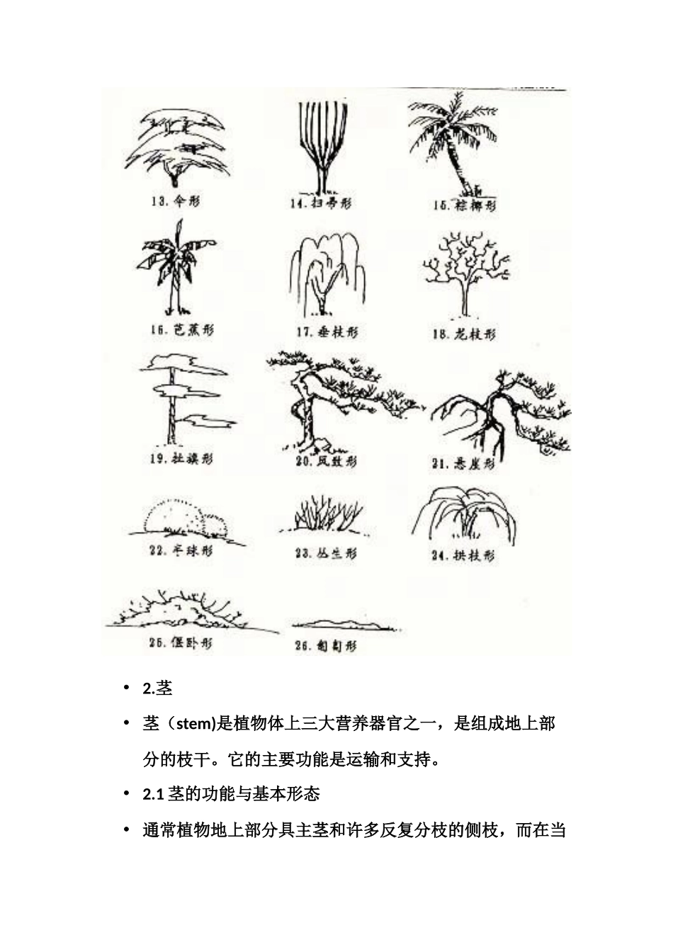 树形与枝条的形态术语_第3页