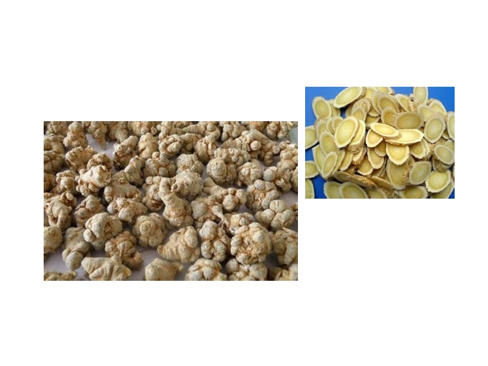 柴胡、丹参、黄芩_第1页