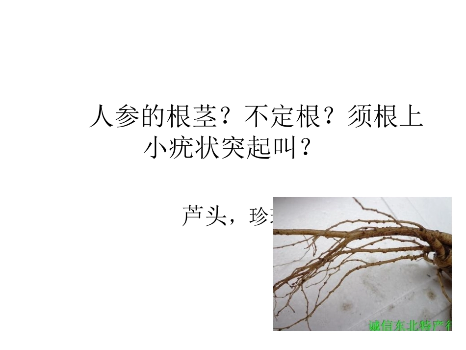 柴胡、丹参、黄芩_第3页