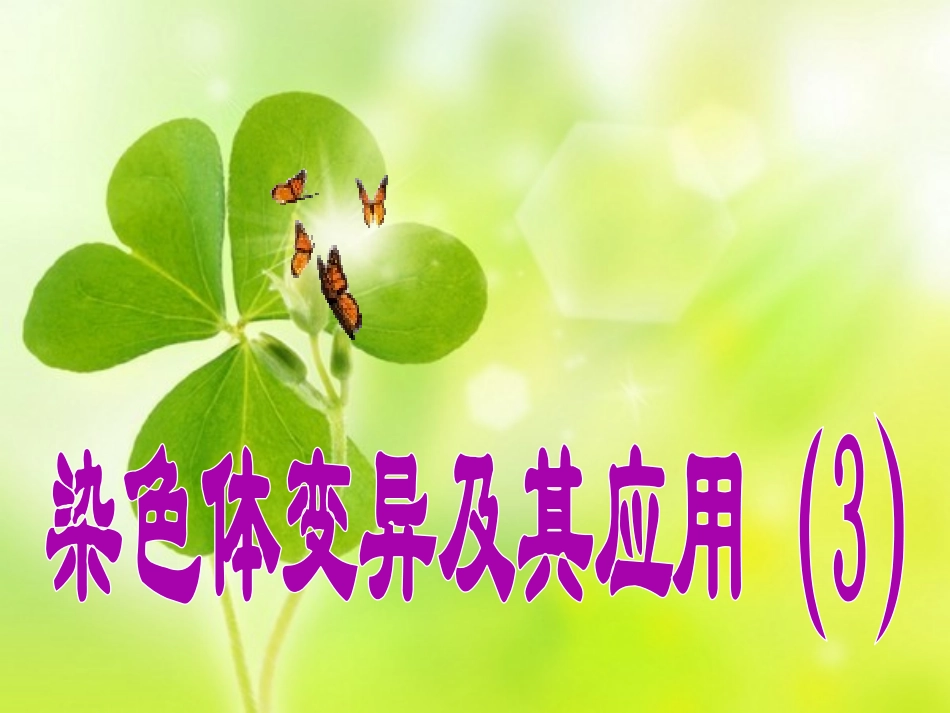 染色体变异3_第2页