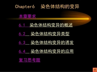 染色体结构的变异