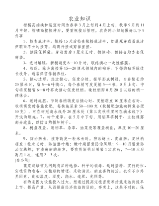 柑橘高接注意九条