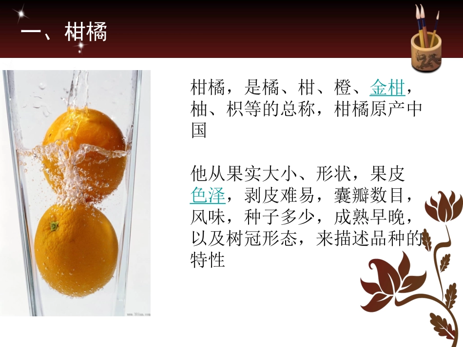 柑橘种植技术_第2页
