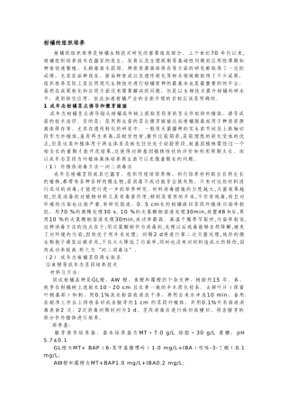 柑橘的组织培养