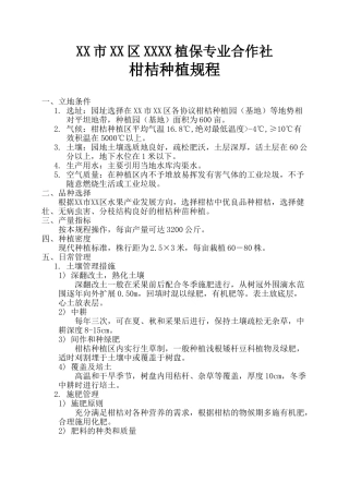 柑桔种植规程