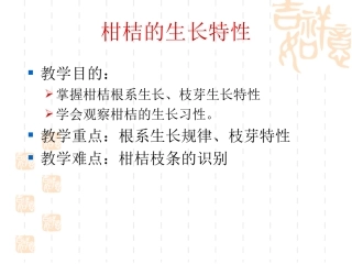 柑桔的生长特性
