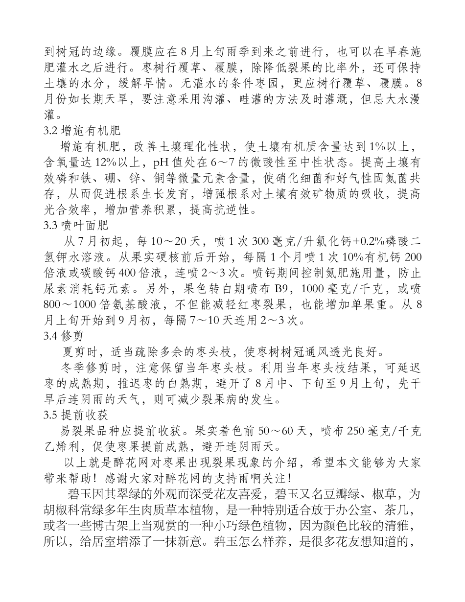 枣果出现裂痕的原因及防治方法介绍_第2页