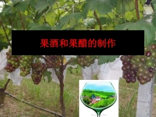 果酒和果醋的制作_2010.