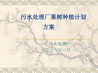 果树种植方案000