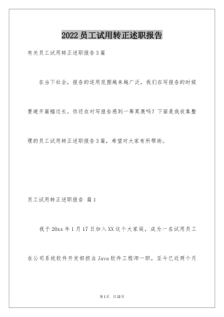 2024员工试用转正述职报告_8