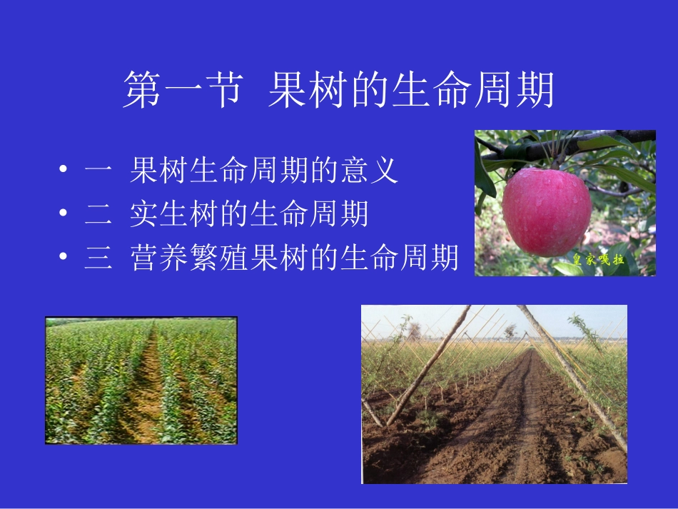 果树生产生命周期_第2页
