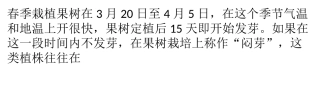 果树栽后为何不发芽