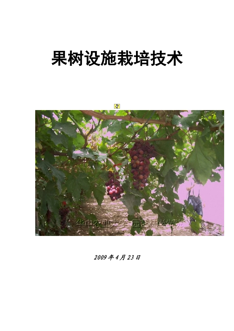 果树学论文 葡萄_第1页