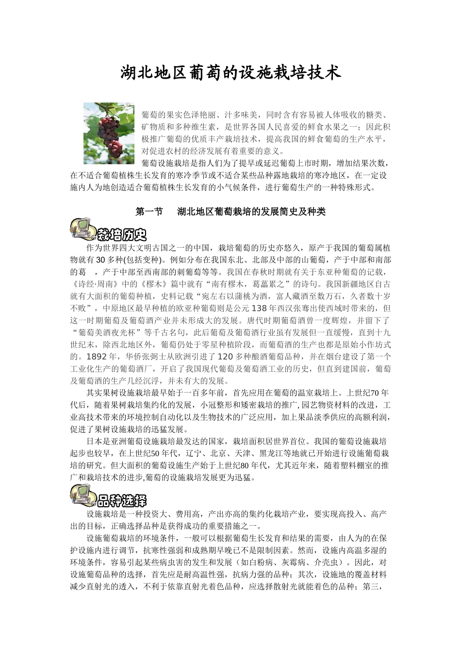 果树学论文 葡萄_第2页