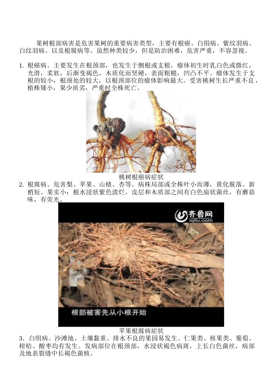 果树根部病害防治技术_第1页