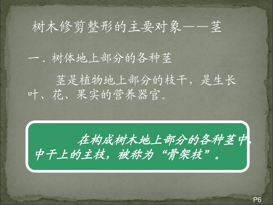 果树整形修剪技术5_第2页