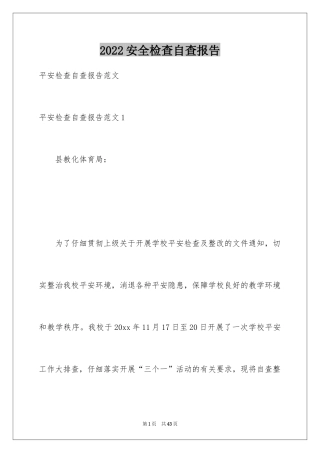 2024安全检查自查报告_1