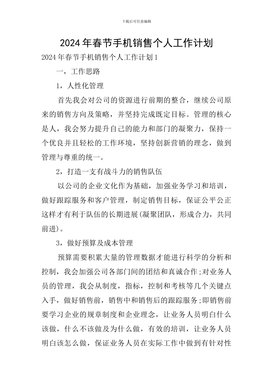 2024年春节手机销售个人工作计划_第1页