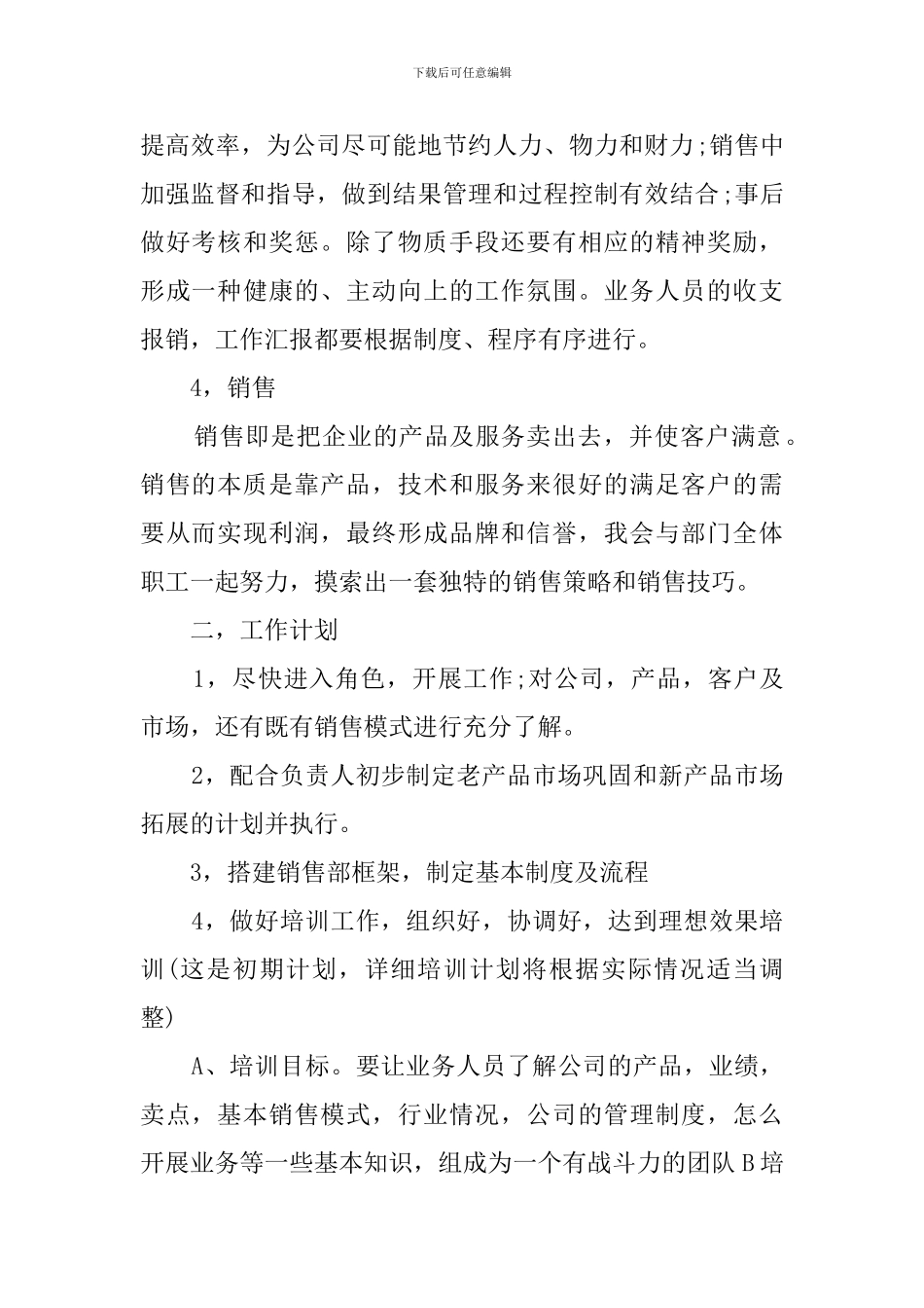 2024年春节手机销售个人工作计划_第2页