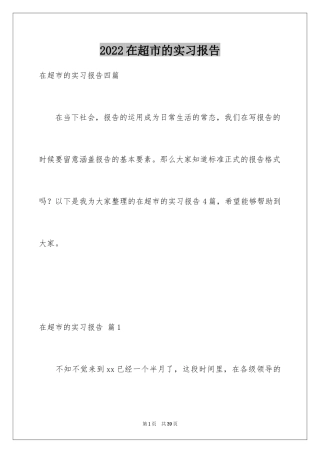 2024在超市的实习报告_55